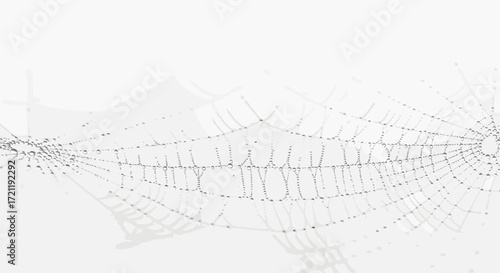 Delicate spiderweb glistens with early morning dew drops a fragile trap