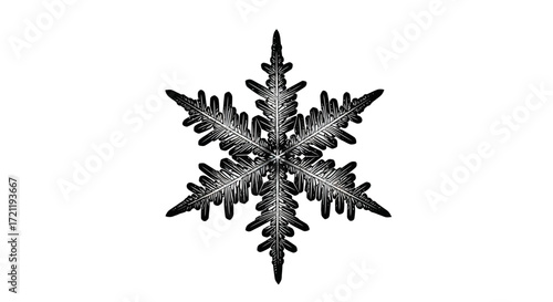 Intricate monochrome snowflake showcasing its unique crystalline structure in detail