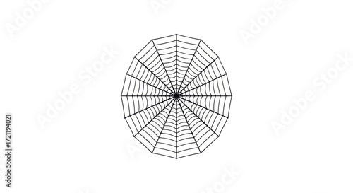 Minimalist graphic of a symmetrical spiderweb radiating from a central point design