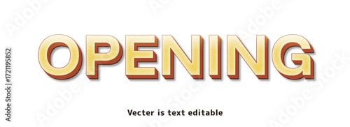 金文字テクスチャ_アピアランス_OPENING