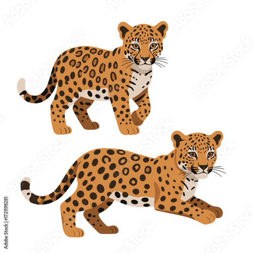 Vector illustration of two leopard cubs in flat minimal design