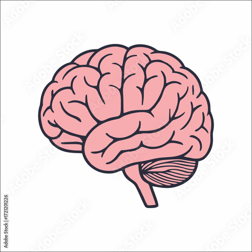 Brain Icon Symbol
