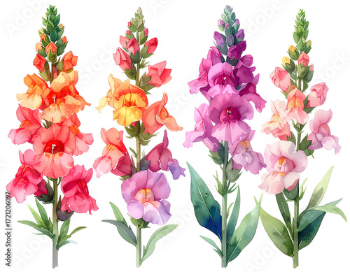 Wallpaper Mural  Firefly_a collection of soft watercolor snapdragons flowers isolated on a transparent backgro Torontodigital.ca
