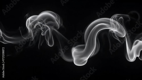 Ethereal wisps of white smoke gracefully curve and swirl against a stark black background, creating a mysterious and dynamic abstract form.