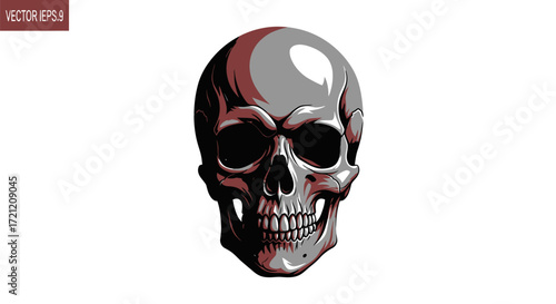 Detailed vector illustration of a human skull against a plain white background bringing forth an