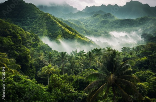 Lush Tropical Landscape With Mist and Mountains During Early Morning Hours