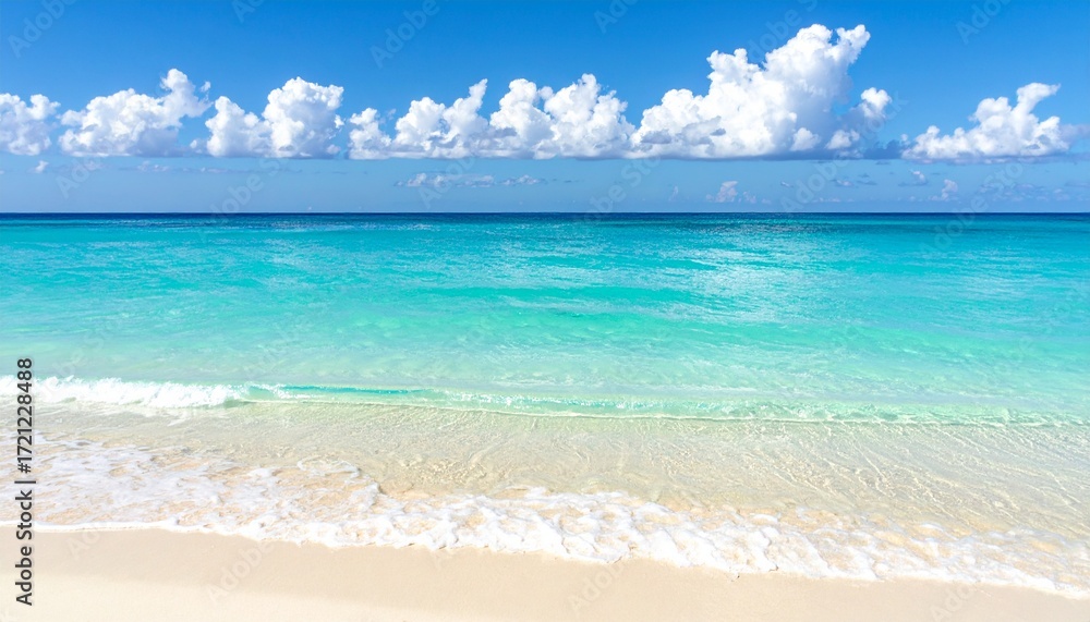 Fototapeta premium tropical beach with blue sky
