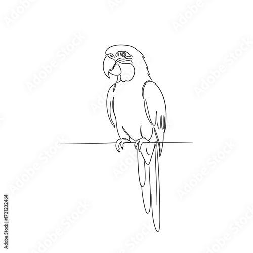 Line art illustration of a parrot perched on a branch on transparent background  
