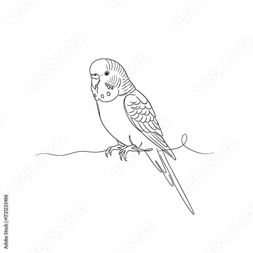 Line drawing of a budgie sitting on a branch on a transparent background  