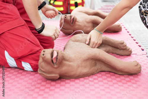 Veterinary student and emergency responder practicing life saving CPR techniques on realistic dog training mannequin during professional first aid and resuscitation course outdoors