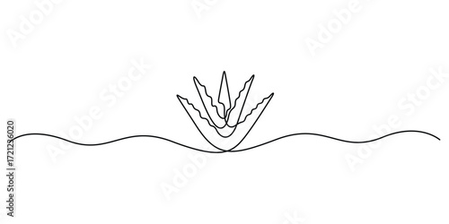 Aloe vera plant sketch, simple one line art vector illustration, background, label design. Continuous one line drawing organic aloe vera. Pro vector