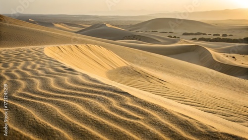 Fototapeta Naklejka Na Ścianę i Meble -  Sand dunes landscape in desert at sunset, beautiful nature
