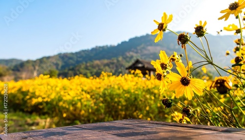 A wooden table top in front of a field of yellow flowers with a mountain in the background