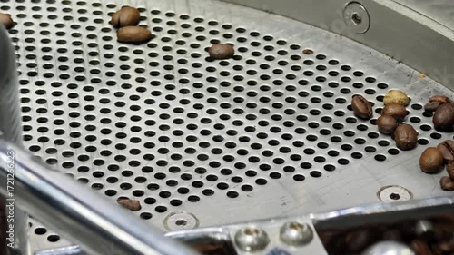 Fresh coffee beans being sorted and processed in a roasting facility