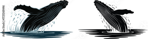 Two whales breaching the water in a black and white graphic