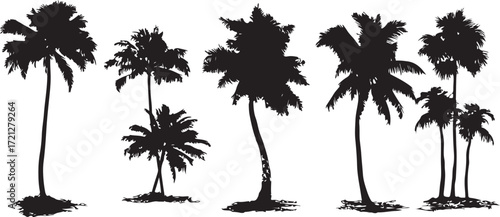 Palm tree silhouettes on tropical beach vector illustration