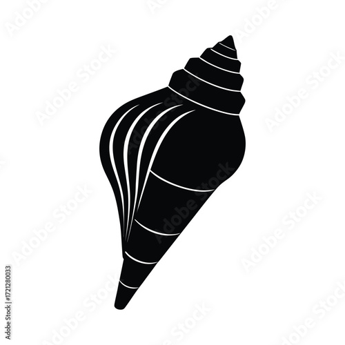 vector illustration of a Cone shell