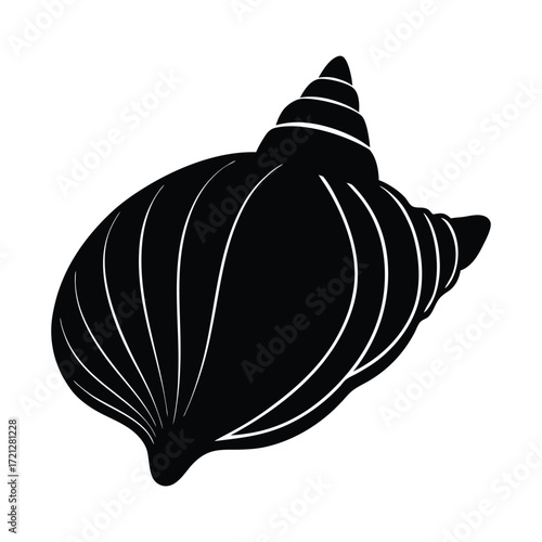 vector illustration of a turban shell