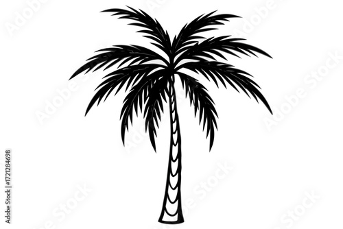 palm tree silhouette