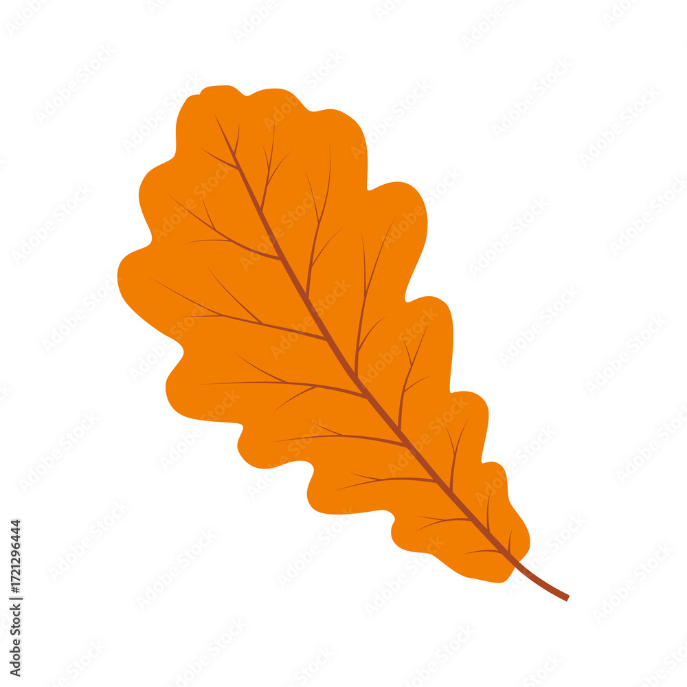 Fototapeta premium Oak leaf. Color vector illustration. PNG with transparent background.
