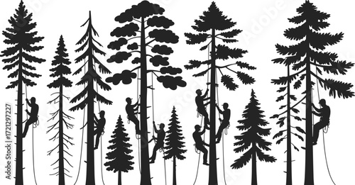 Forest guardians silhouettes, tree climbers on ropes, arborists in pine forest, outdoor workers, nature conservation, tree maintenance, climbing professionals, vector illustration, silhouette art