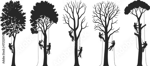 Tree climber silhouettes, arborist workers on ropes, climbing trees, outdoor work, forest maintenance, safety gear, nature care, tree trimming, silhouette art, vector illustration
