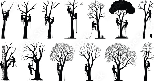 Tree climbers silhouette, arborist workers, tree trimming, climbing gear, outdoor work, forestry, safety equipment, nature care, professional tree service, vector illustration