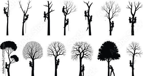 Tree climbers silhouette, arborist workers, tree trimming, climbing gear, outdoor work, forestry, safety equipment, nature care, professional tree service, vector illustration