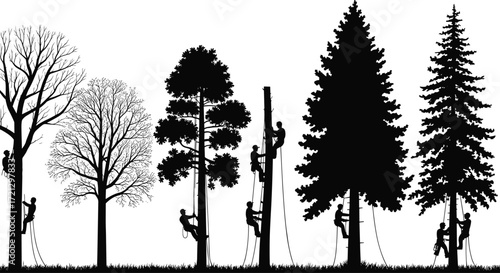 Tree climbers silhouettes, arborists on ropes, forest maintenance workers, climbing tall trees, outdoor labor, nature care, tree trimming service, vector illustration, silhouette art