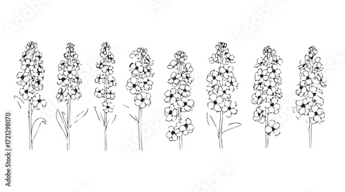 Elegant botanical line art collection of seven delicate orchid sprigs detailed floral design silhouette