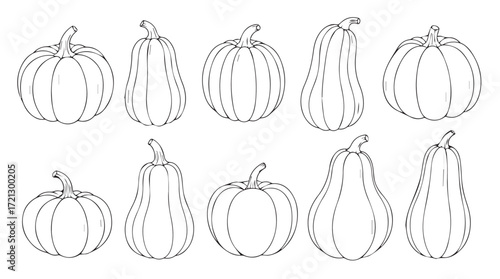 Collection of hand drawn autumn pumpkins and gourds in outline style for seasonal design elements silhouette