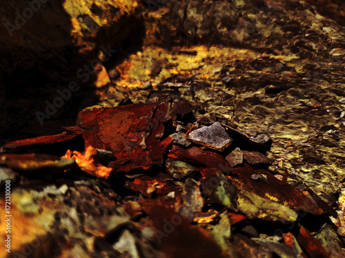 Autumn trend Burnt Wood. Burnt Wood color. Autumn style. Rock texture. Geodesy and geology. Burnt Wood tinted minerals.