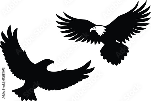 eagle vector illustration