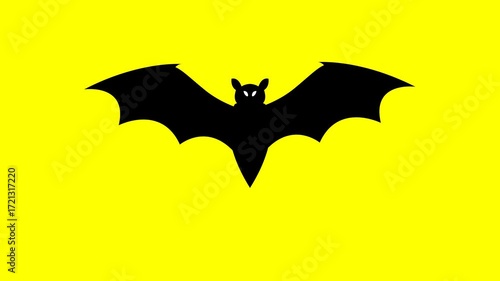 Silhouette of a flying bat on a white screen. Halloween concept.