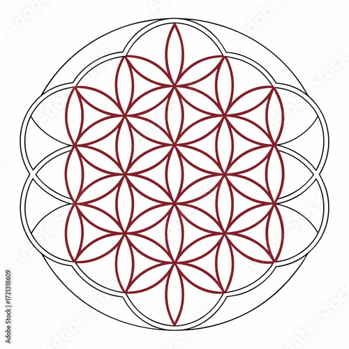 Vector art of flower of life vector illustration sacred geometry pattern, ancient symbol of creation and unity spiritual, mystical, and meditative design element
