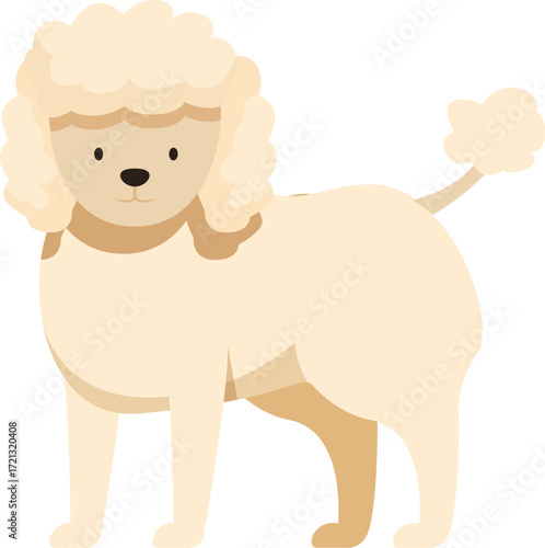 Adorable poodle dog standing, showing its fluffy fur and friendly face