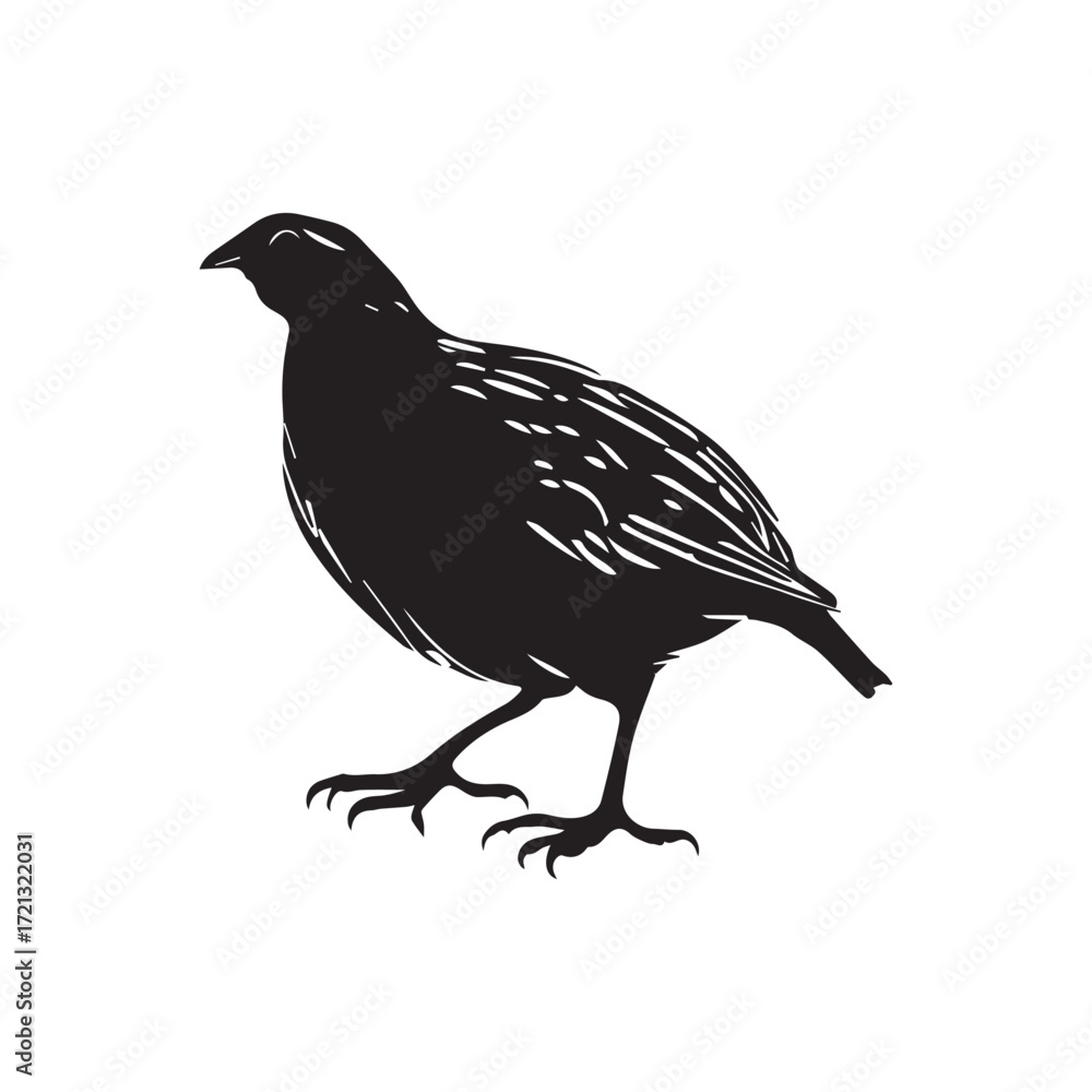 Fototapeta premium All 2