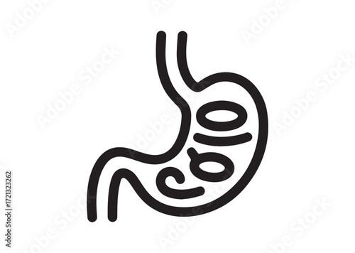 Stomach line art Vector