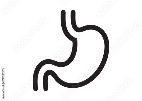Stomach line art Vector