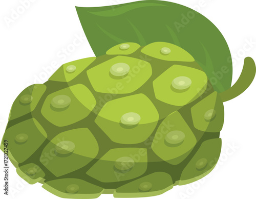 Fresh noni fruit with leaf, representing healthy eating and natural remedies