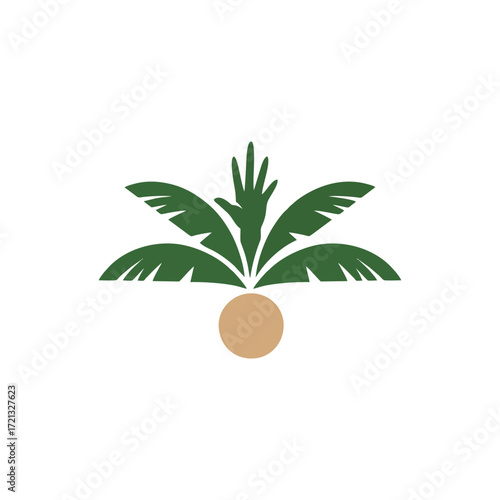 Flat palm farm logo for mobile app icon and web digital interface design featuring simple tropical tree symbol and green eco environment branding for technology startup