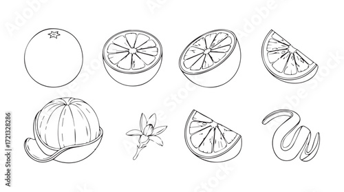 Realistic orange fruit slices and peel set fresh citrus food elements silhouette