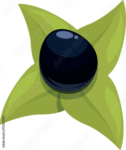Sacha inchi fruit resting on vibrant green leaves, showcasing the exotic superfood