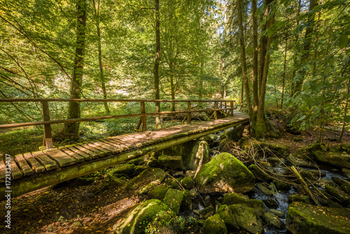 Holzbrücke über den Höllbach im Naturschutzgebiet Höllbachtal bei dem Rundwanderweg in Rettenbach bei Falkenstein in Bayern, Deutschland