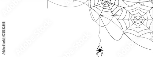 spiderweb Halloween decoration