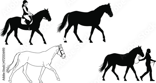 Horse silhouettes equestrian training dressage vector graphics