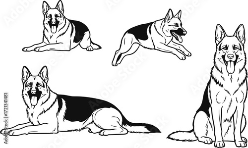 German shepherd dog breed vector art illustration set design