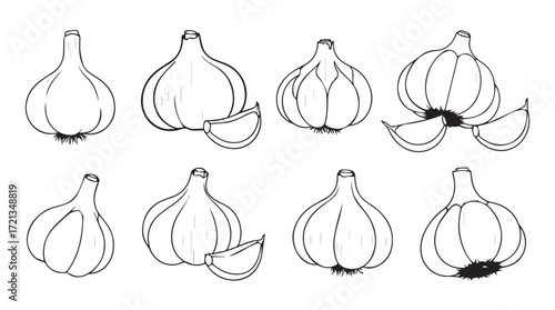 Hand drawn garlic bulbs and cloves set organic ingredient for culinary and healthy lifestyle silhouette