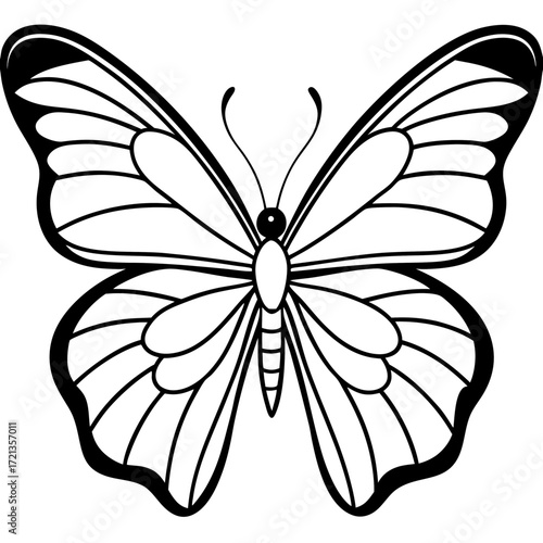 Minimalist Butterfly Outline Vector