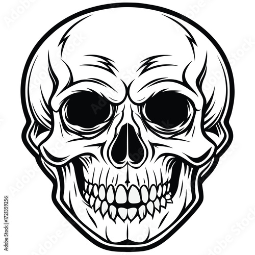 Detailed skull illustration in black and white